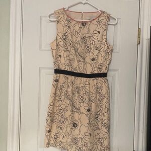 LOFT Floral Mini Dress in Cream and Black